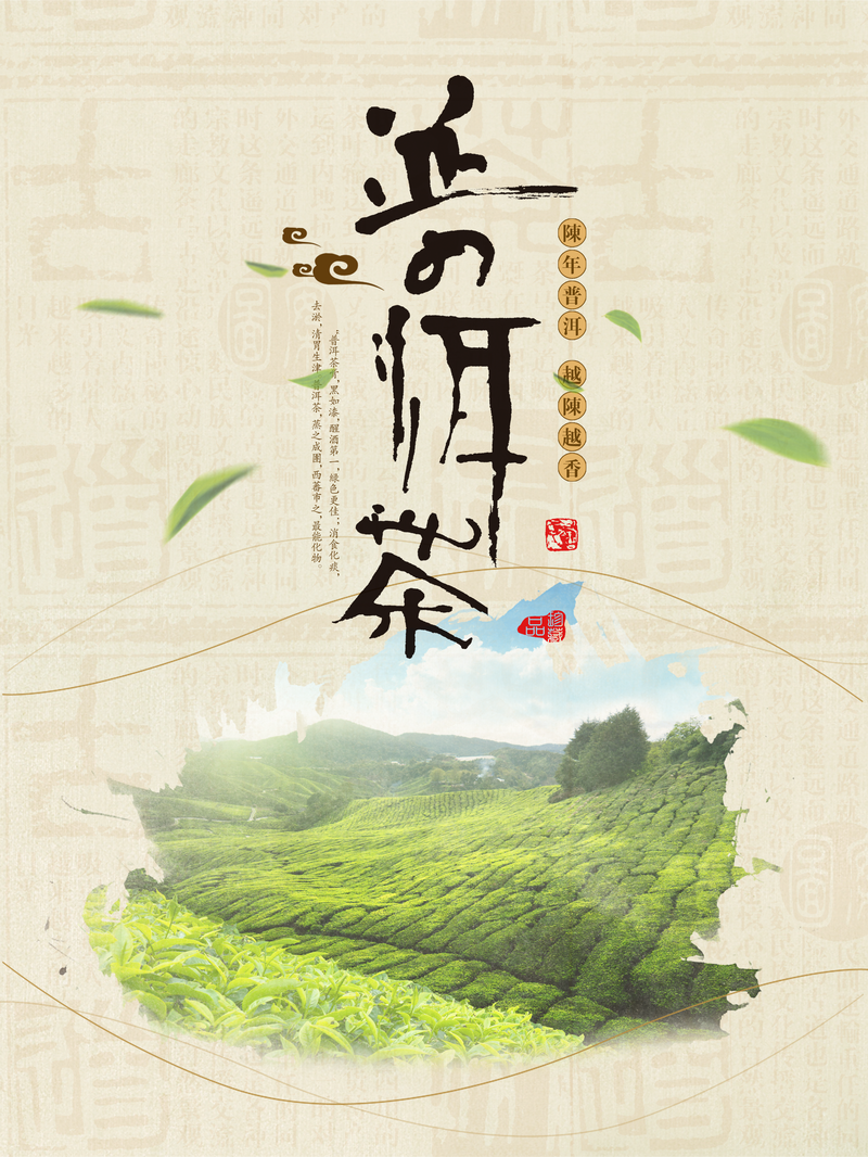简约云南普洱茶宣传海报设计