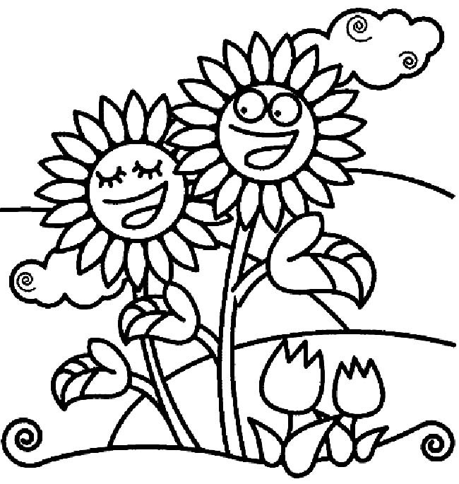 卡通向日葵植物花简笔画