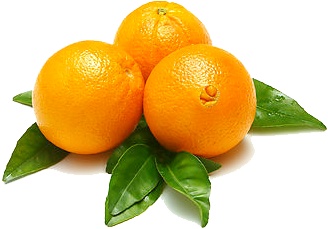 三个新鲜橙子