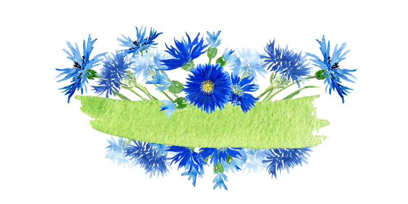 蓝色花朵与叶子图片