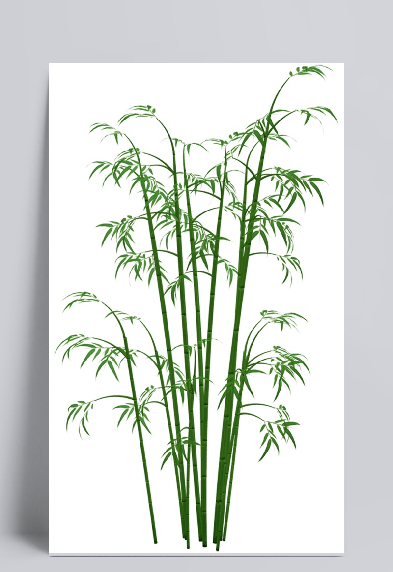 手绘创意竹子图免抠png透明素材