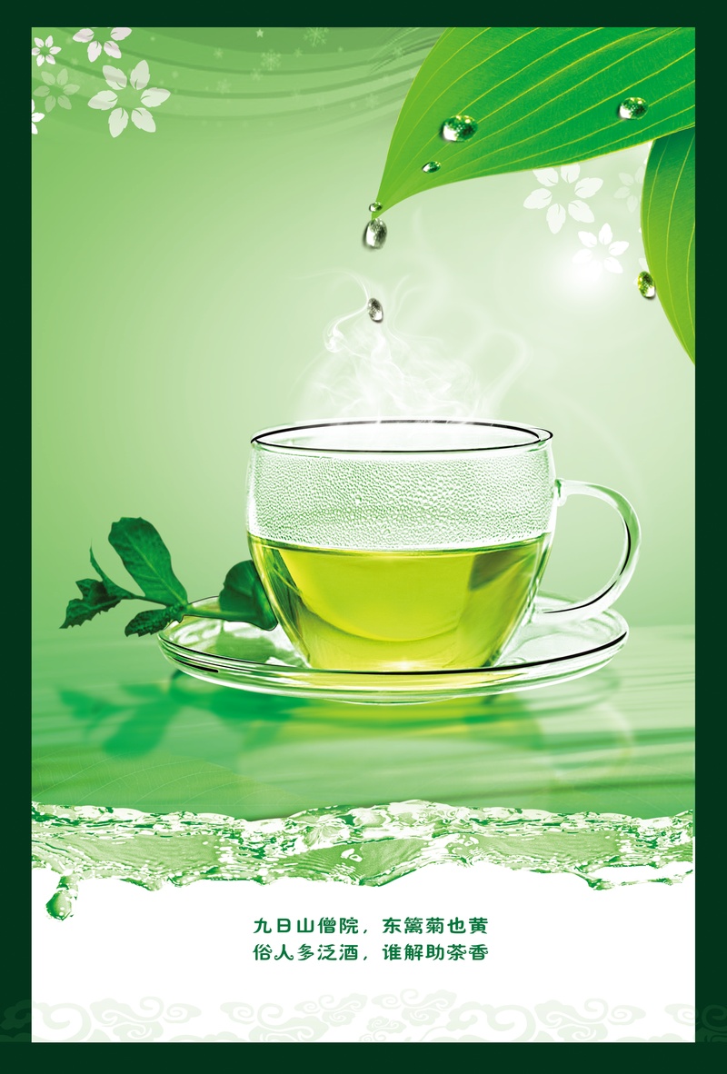 绿色清新茶文化宣传海报