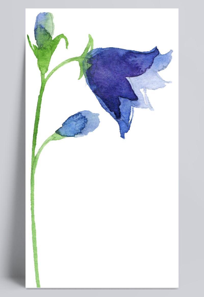 蓝色花朵设计图片