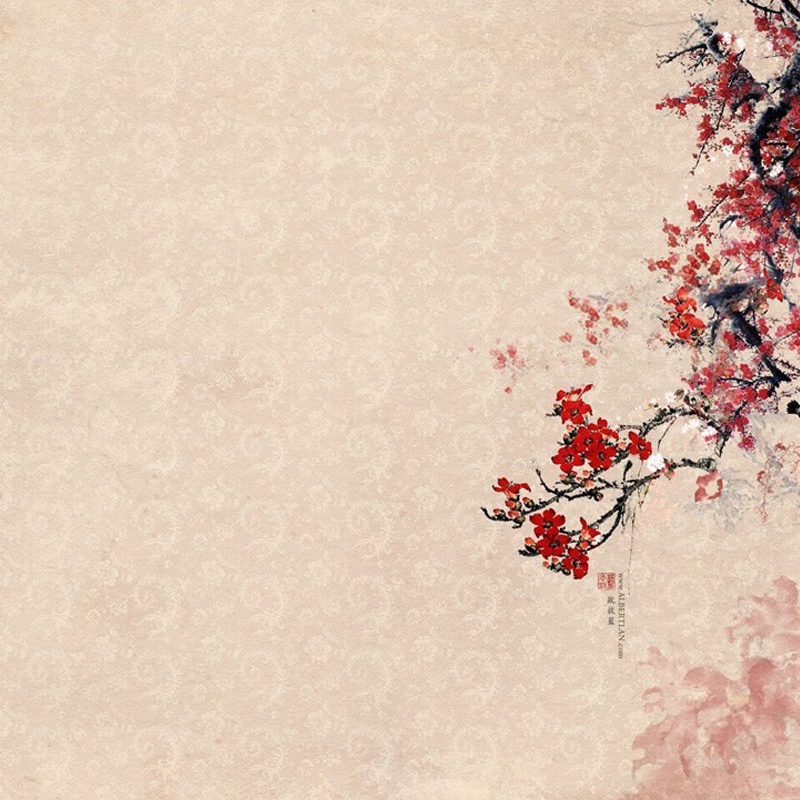 墙壁红梅中国风背景图