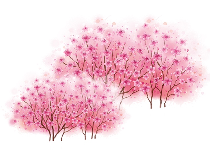 清新婉约粉色树木樱花装饰元素