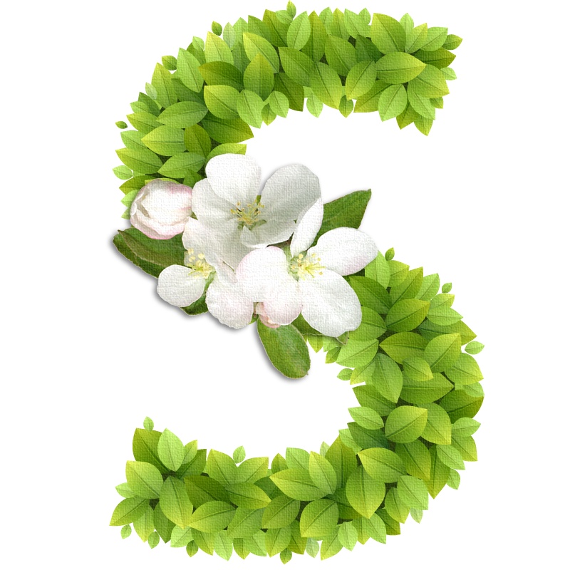 春意盎然的绿叶花卉字母S