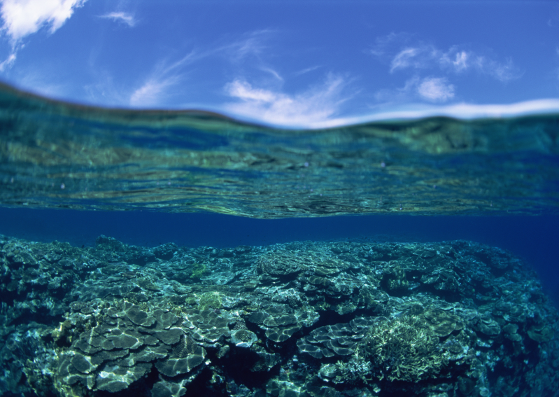 海水中拍摄的蓝天白云和海底的礁石