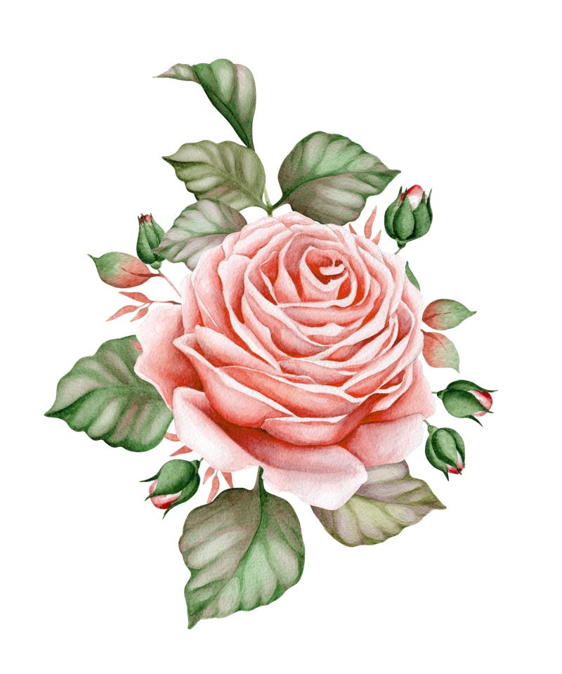 红色手绘手绘水彩玫瑰花