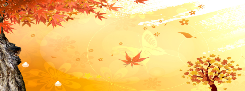 秋季枫叶横幅图片