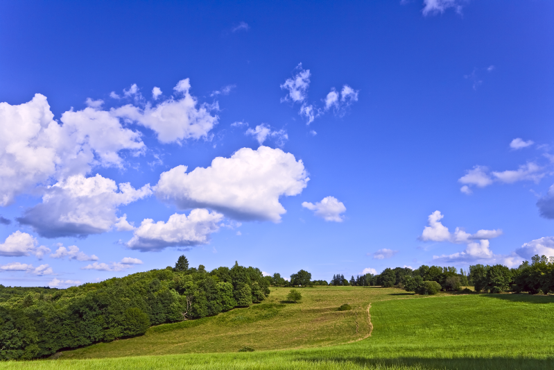 绿草地上的蓝天白云