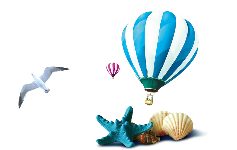 气球海鸥贝壳海螺