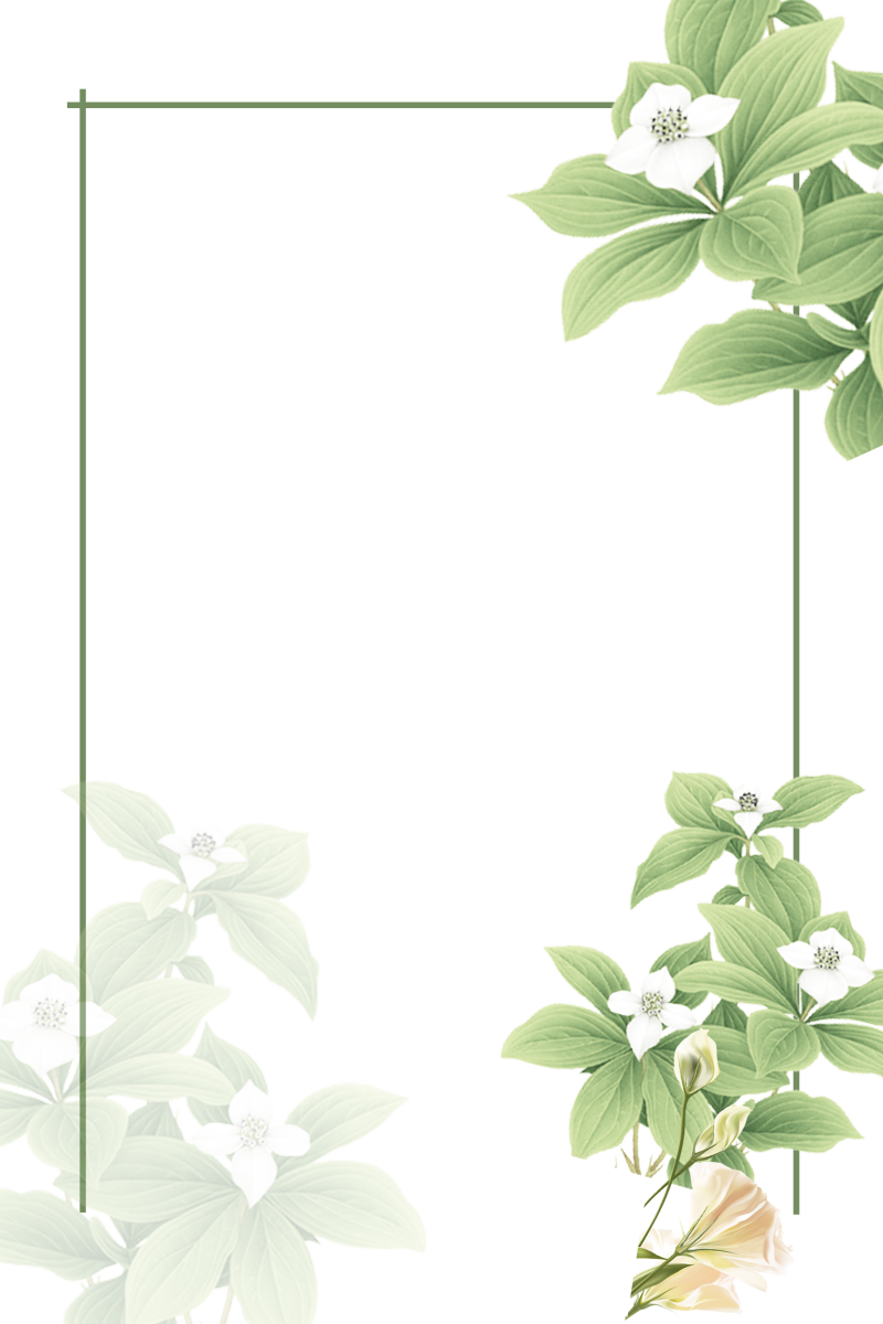 水彩绿色植物边框