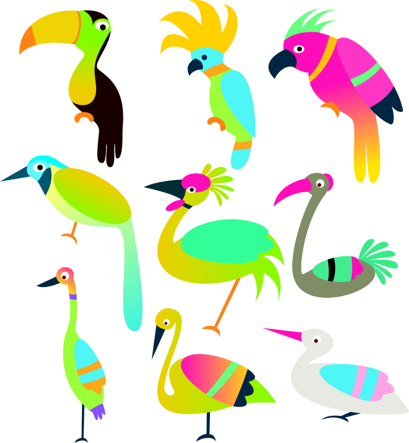 彩色色块鸟类时尚矢量动物插画