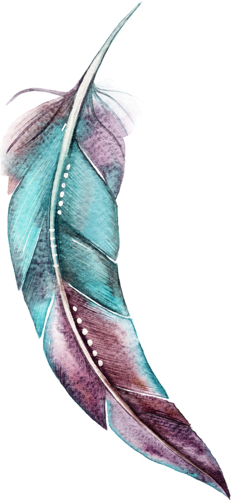 彩色手绘羽毛卡通水彩精美透明素材