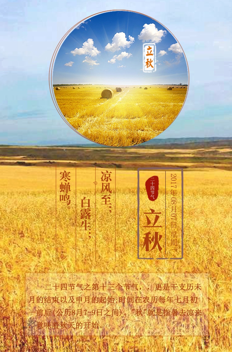 小麦金黄色立秋二十四节气海报背景素材