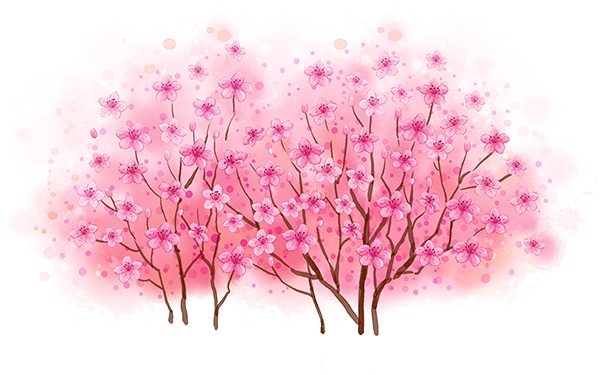手绘开满粉色花朵的树