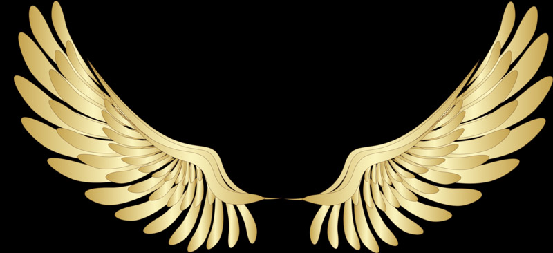 金色翅膀图案
