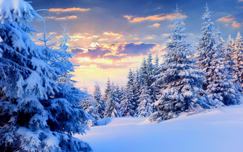 冬天美丽风景