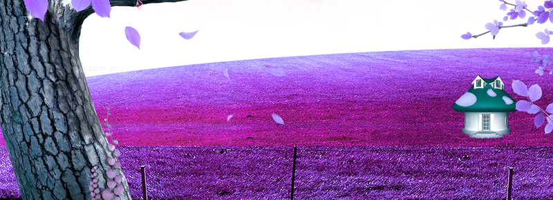 树桩紫色梦幻背景