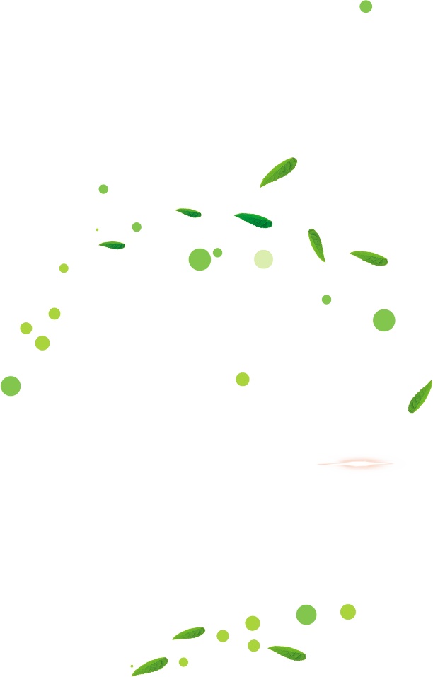 绿色圆点漂浮树叶