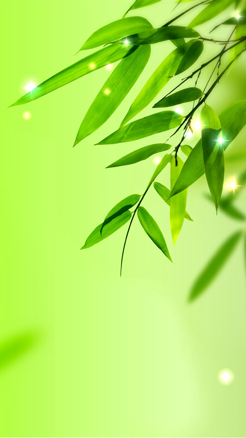 小清新绿色竹叶边框H5背景素材