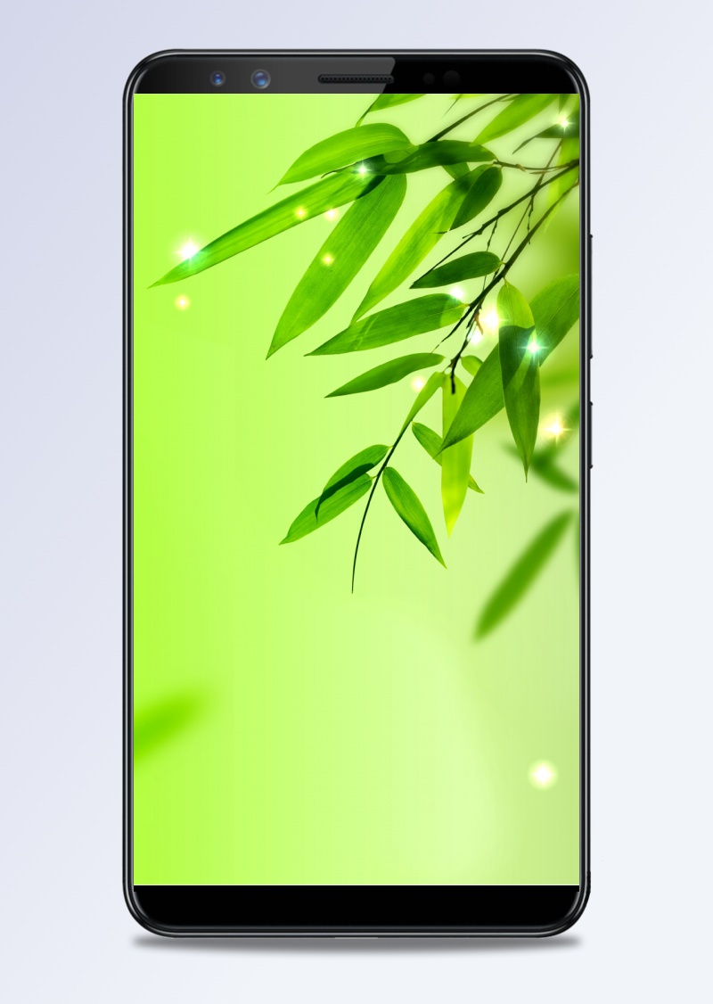 小清新绿色竹叶边框H5背景素材