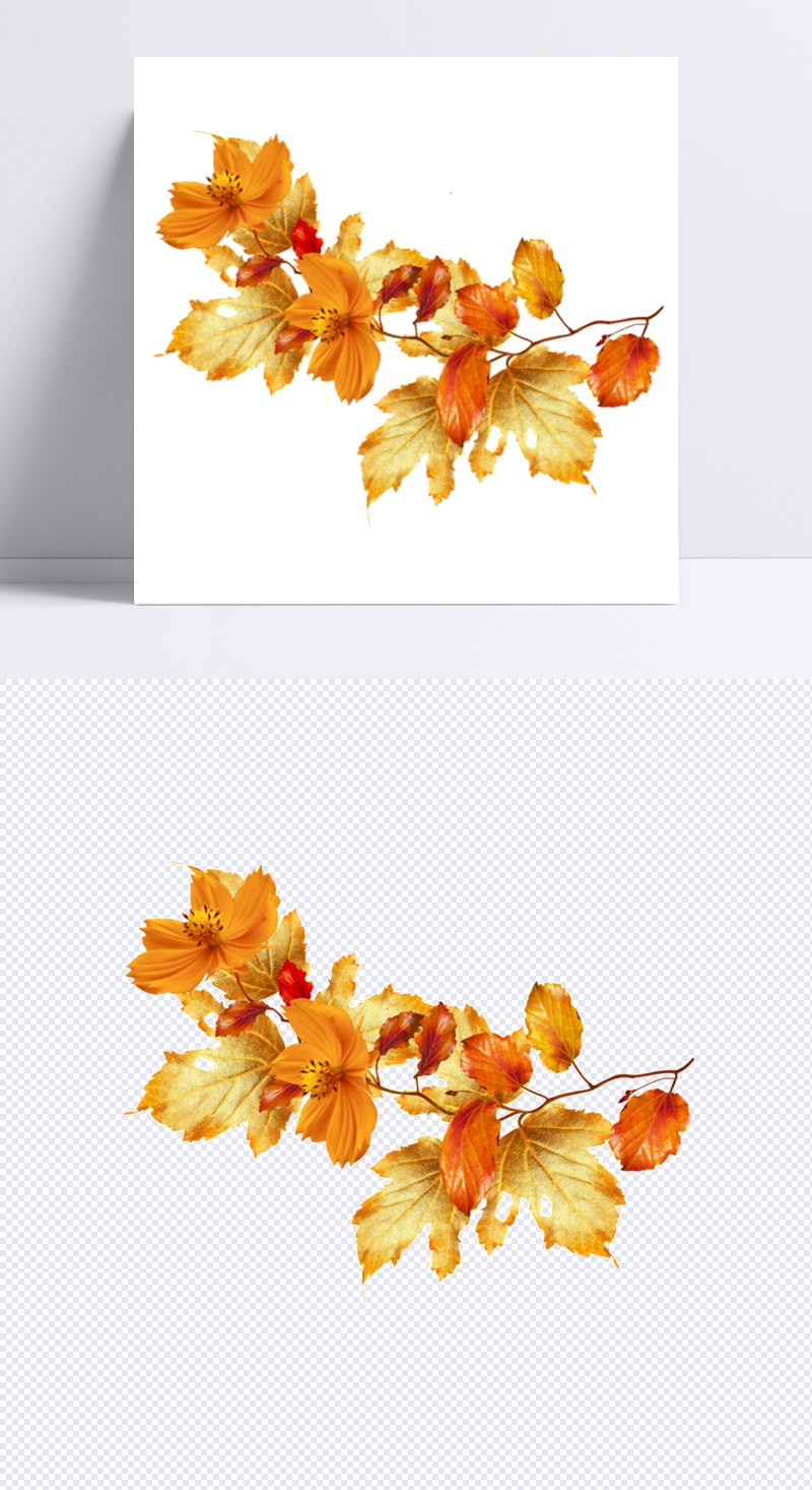 秋天景色叶子装饰图案