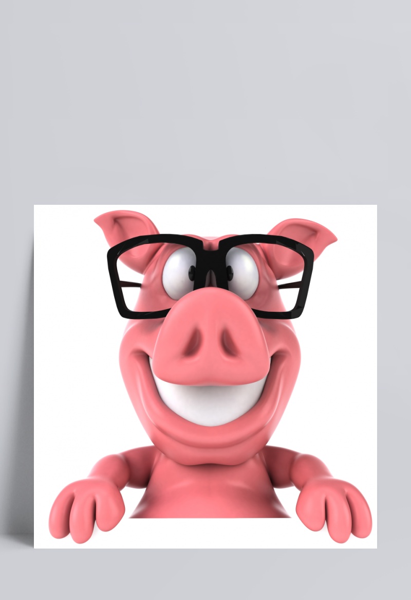 3D眼镜猪
