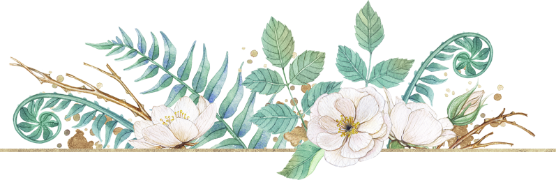 手绘植物花卉边框设计素材