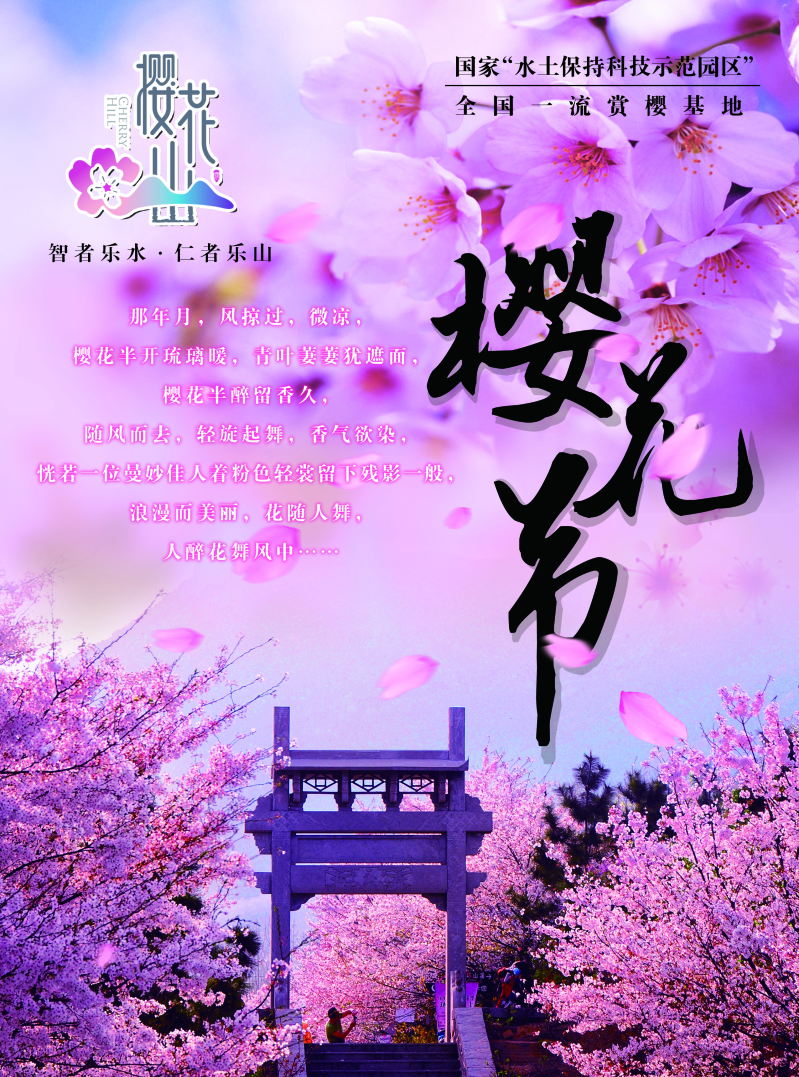 一流赏樱基地樱花节宣传海报设计psd素