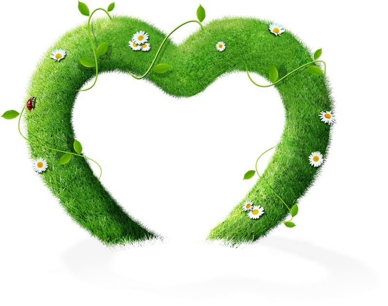心形绿草花环植物元素
