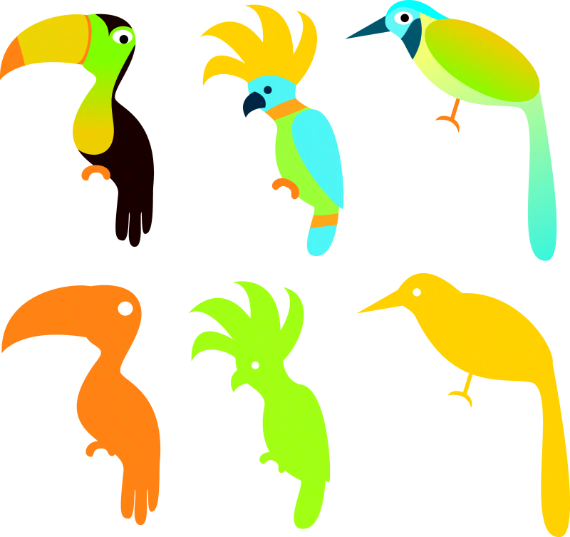 彩色色块鹦鹉时尚矢量动物插画