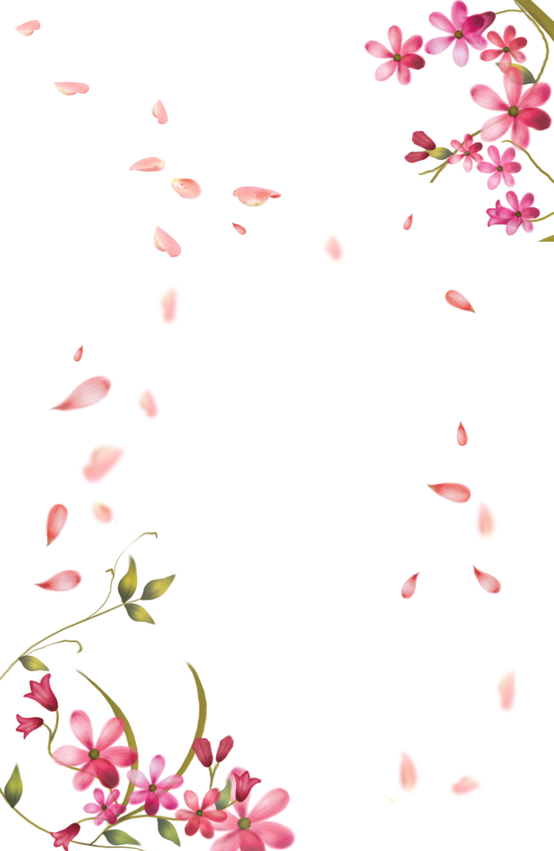 春天妇女节情人节粉色花瓣边框漂