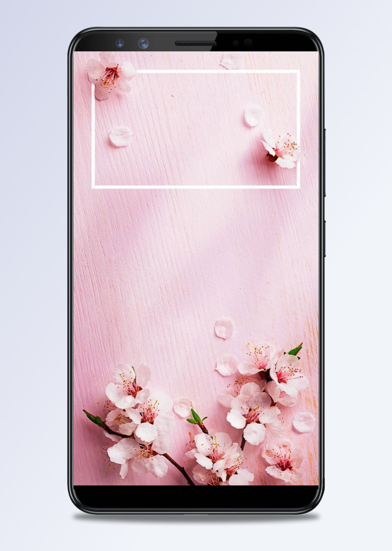 粉色浪漫鲜花H5背景