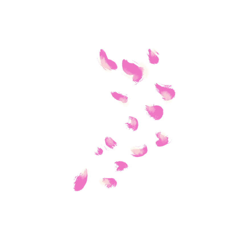 治愈小清新手绘粉色玫瑰花瓣