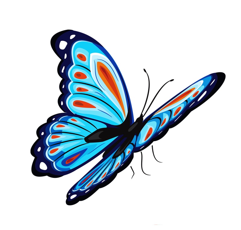 蓝色漂亮蝴蝶免抠png透明素材