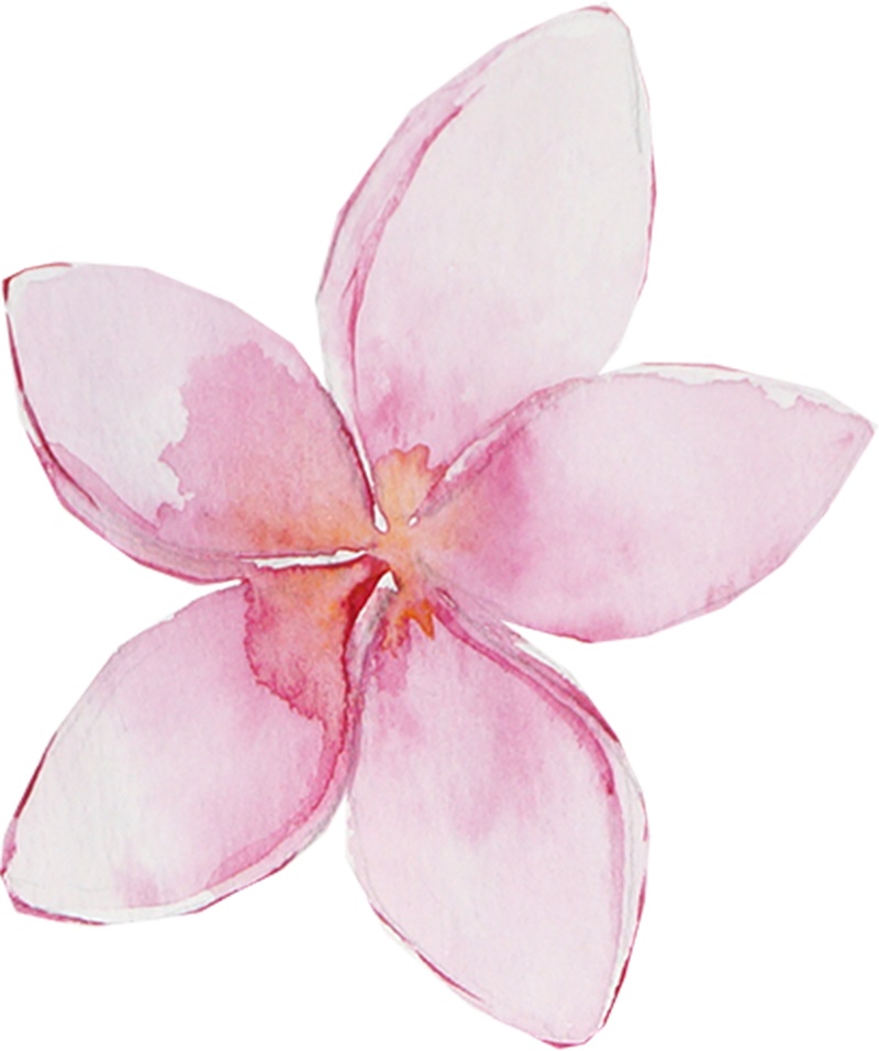 卡通手绘水彩粉色小花朵
