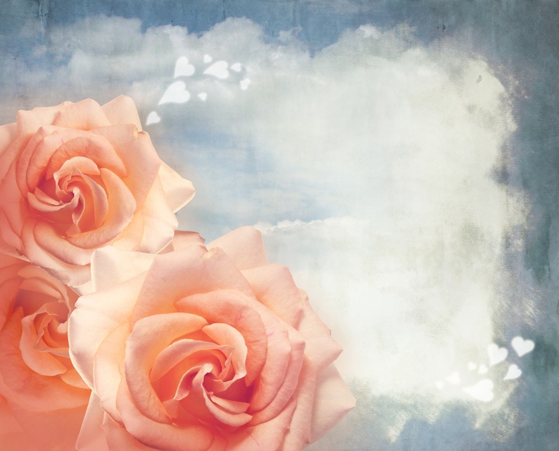 玫瑰鲜花背景图片