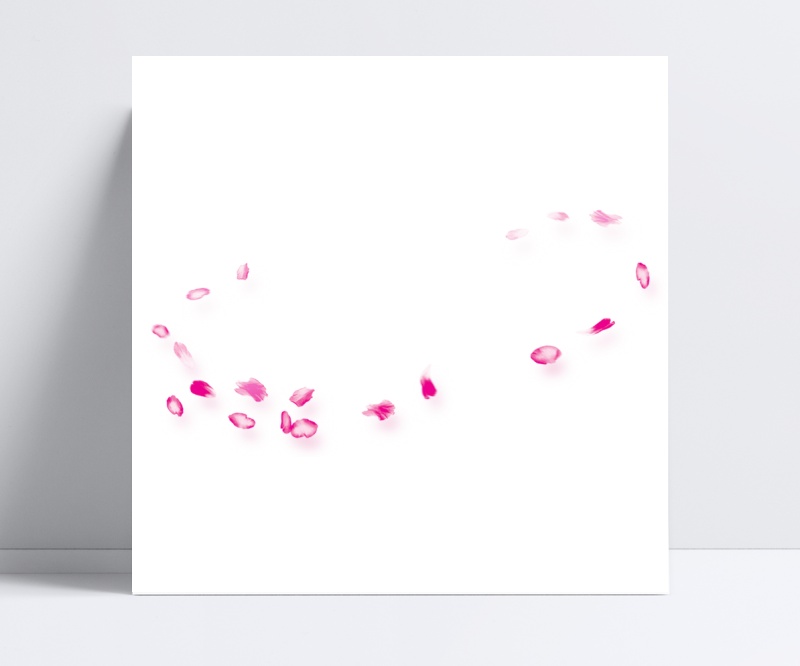 粉色立体漂浮花瓣