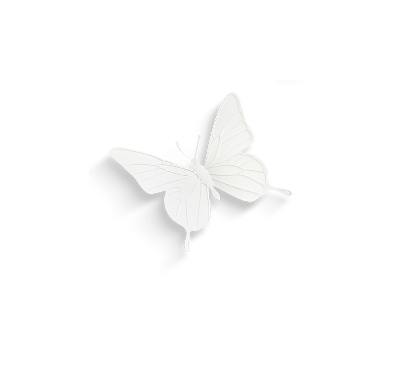 白色浮雕蝴蝶