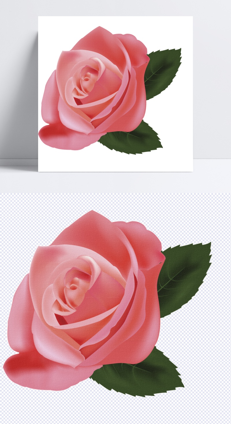 水彩粉色玫瑰花朵图案元素