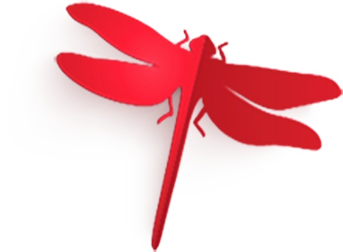 立体红色蜻蜓动物元素