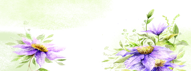 紫色花横幅图片