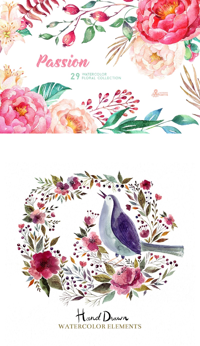 插图创意手绘素材艺术植物花鸟装饰图