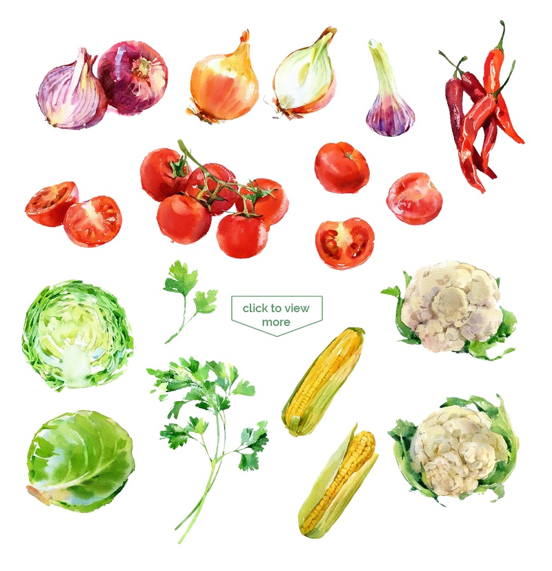 手绘蔬菜元素图案