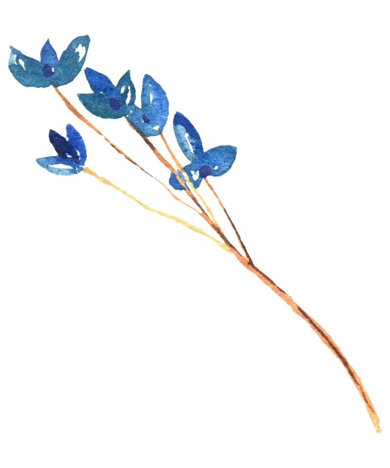 树枝上的蓝色花朵图片