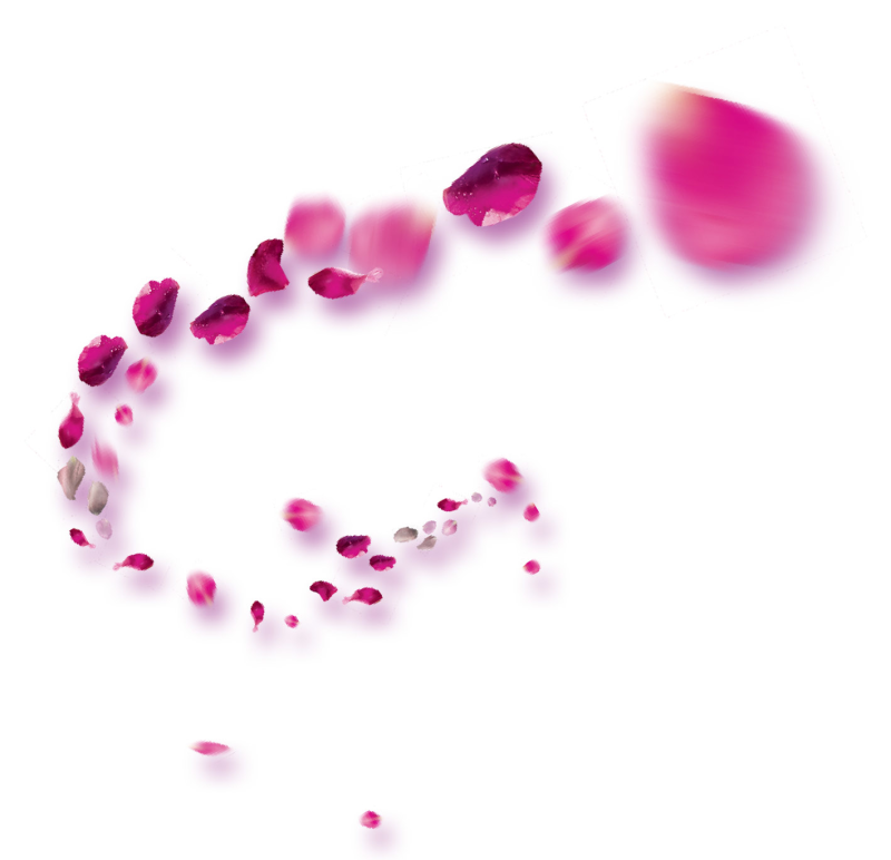 粉色弧形漂浮花瓣