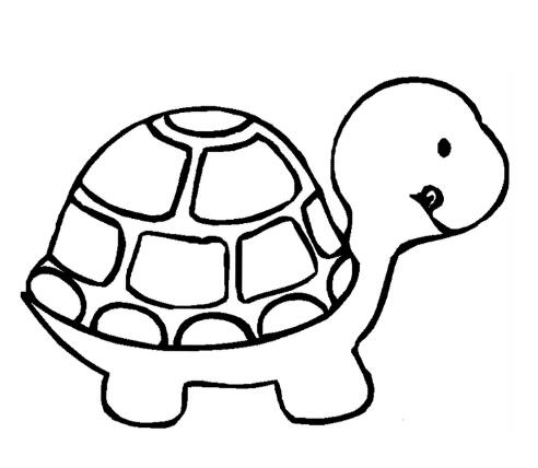 可爱的小乌龟简笔画