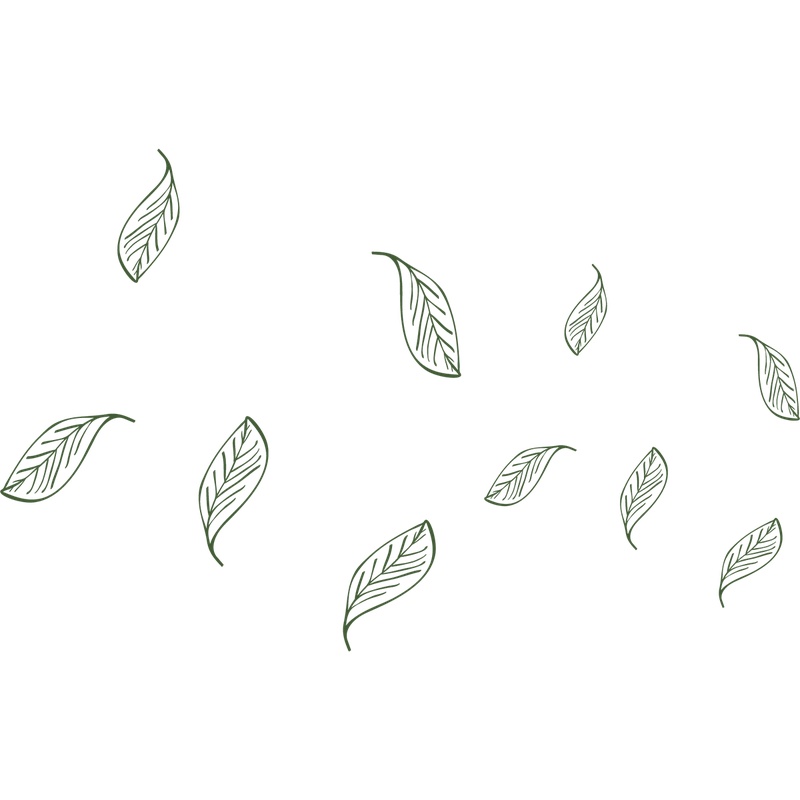 手绘线条树叶元素