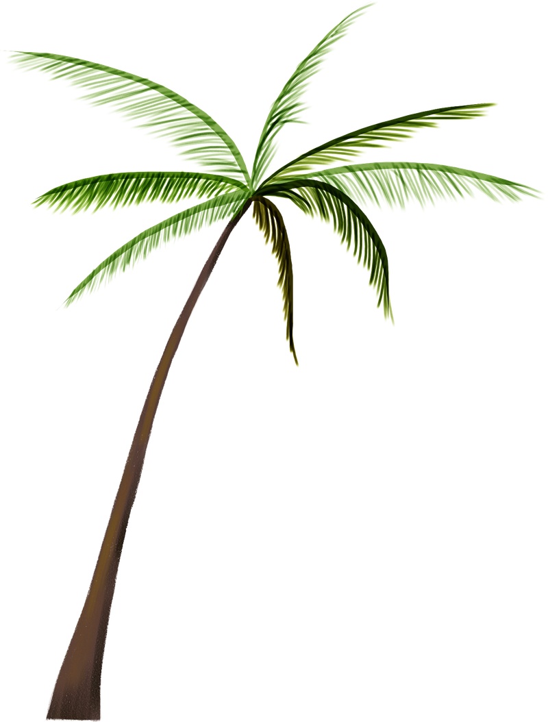 椰树植物元素